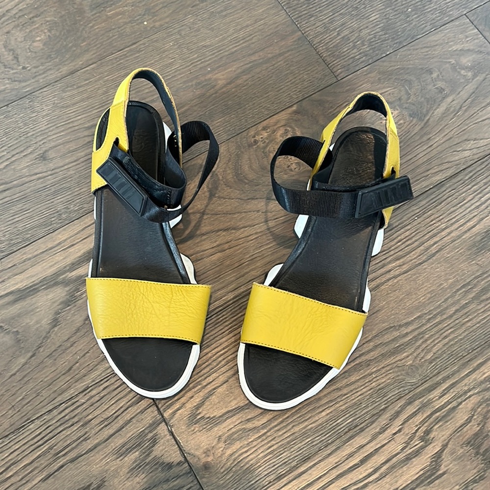 Black and gold sport sorrel sandals